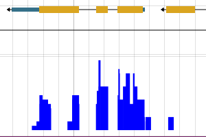 Screenshot of JBrowse